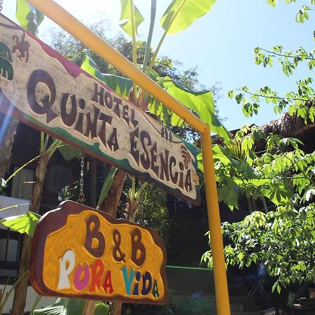 Quinta Esencia Bed and Breakfast Brasilito Exteriör bild